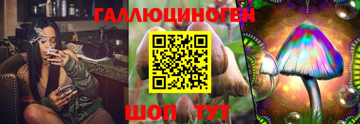 сколько стоит  Галлюциногенные грибы Psilocybe  Конаково  Вход с VPN  Псилоцибиновые грибы Cubensis 